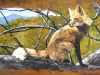 fox, wildlife mural